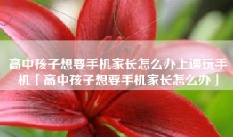 高中孩子想要手机家长怎么办上课玩手机「高中孩子想要手机家长怎么办」