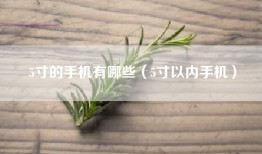 5寸的手机有哪些（5寸以内手机）