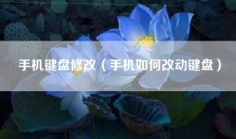 手机键盘修改（手机如何改动键盘）