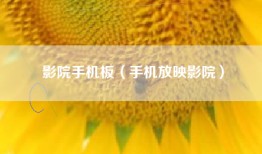 影院手机板（手机放映影院）