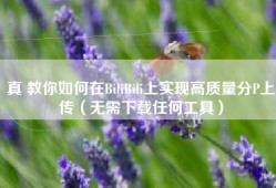 真 教你如何在BiliBili上实现高质量分P上传（无需下载任何工具）