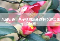 东渚街道：亲子植树添新绿 同筑绿美生态家园