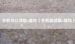 手机可以读取u盘吗（手机能读取u盘吗）