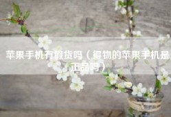 苹果手机有假货吗（得物的苹果手机是正品吗）