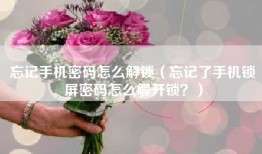 忘记手机密码怎么解锁（忘记了手机锁屏密码怎么解开锁？）