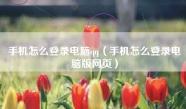 手机怎么登录电脑qq（手机怎么登录电脑版网页）