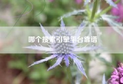 哪个搜索引擎平台靠谱