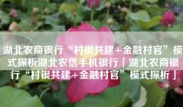 湖北农商银行“村银共建+金融村官”模式探析湖北农信手机银行「湖北农商银行“村银共建+金融村官”模式探析」