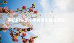 手机附件是（手机里附件在哪里）