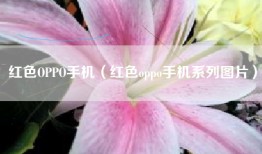 红色OPPO手机（红色oppo手机系列图片）