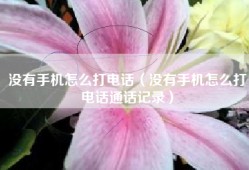 没有手机怎么打电话（没有手机怎么打电话通话记录）