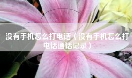 没有手机怎么打电话（没有手机怎么打电话通话记录）
