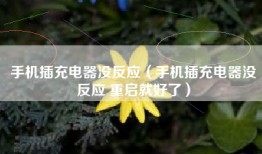 手机插充电器没反应（手机插充电器没反应 重启就好了）