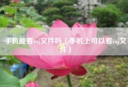 手机能看caj文件吗（手机上可以看caj文件）
