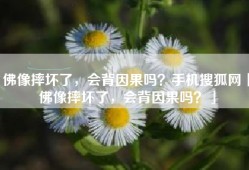 佛像摔坏了，会背因果吗？手机搜狐网「佛像摔坏了，会背因果吗？」