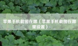 苹果手机截图在哪（苹果手机截图在哪里设置）