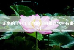防水的手机（防水的手机掉到水里有事吗）