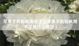 苹果手机相机用不了（苹果手机相机用不了是什么情况）