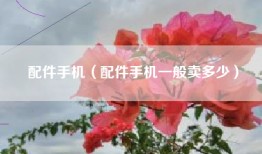 配件手机（配件手机一般卖多少）