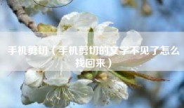 手机剪切（手机剪切的文字不见了怎么找回来）