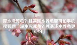 深水淹死龟？其实浅水养龟更可怕手机搜狐网「深水淹死龟？其实浅水养龟更可怕」