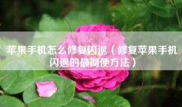 苹果手机怎么修复闪退（修复苹果手机闪退的最简便方法）