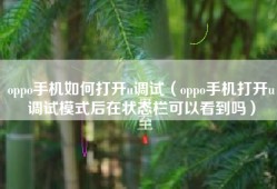oppo手机如何打开u调试（oppo手机打开u调试模式后在状态栏可以看到吗）