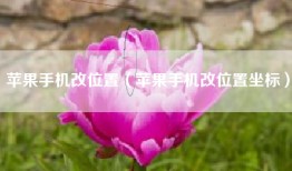 苹果手机改位置（苹果手机改位置坐标）