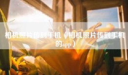相机照片传到手机（相机照片传到手机的app）