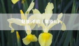 魅族4手机（魅族4x）