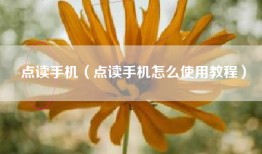 点读手机（点读手机怎么使用教程）