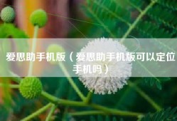 爱思助手机版（爱思助手机版可以定位手机吗）