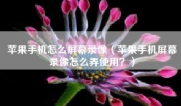 苹果手机怎么屏幕录像（苹果手机屏幕录像怎么弄使用？）