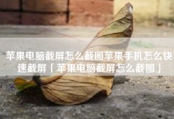 苹果电脑截屏怎么截图苹果手机怎么快速截屏「苹果电脑截屏怎么截图」