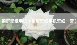 锁屏壁纸手机（锁屏壁纸手机壁纸一套）