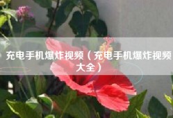 充电手机爆炸视频（充电手机爆炸视频大全）