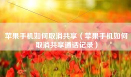 苹果手机如何取消共享（苹果手机如何取消共享通话记录）