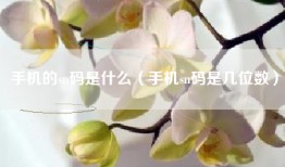 手机的sn码是什么（手机sn码是几位数）