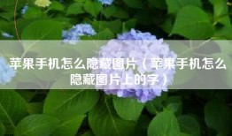 苹果手机怎么隐藏图片（苹果手机怎么隐藏图片上的字）