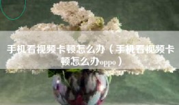 手机看视频卡顿怎么办（手机看视频卡顿怎么办oppo）