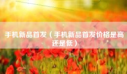 手机新品首发（手机新品首发价格是高还是低）