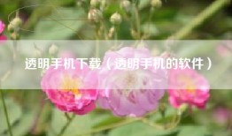 透明手机下载（透明手机的软件）