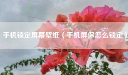 手机锁定屏幕壁纸（手机屏保怎么锁定）