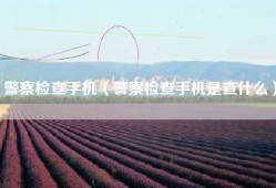 警察检查手机（警察检查手机是查什么）