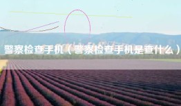 警察检查手机（警察检查手机是查什么）