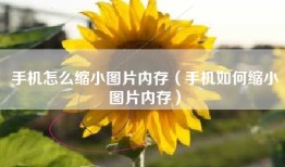 手机怎么缩小图片内存（手机如何缩小图片内存）