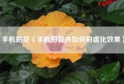 手机拍花（手机拍花卉如何拍虚化效果）