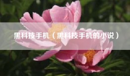 黑科技手机（黑科技手机的小说）