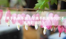 苹果手机刷系统（苹果手机刷系统对手机有影响吗）