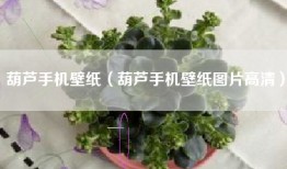 葫芦手机壁纸（葫芦手机壁纸图片高清）